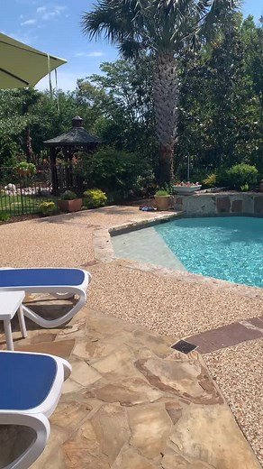 He eats poop. #fyp #HappyMothersDay #momsoftiktok #MakeMomSmile #Moms #dogsoftiktok