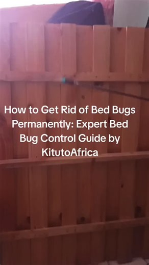 How to Get Rid of Bed Bugs Permanently: Expert Bed Bug Control Guide...