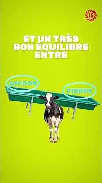 Farm me +0.5 L of milk per cow per day, without changing your habits!