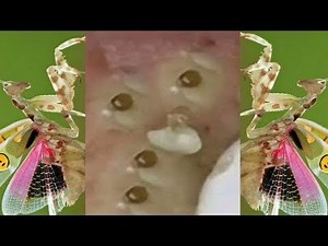 Progreso humano con sueños #QBS