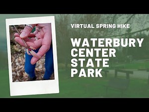 Virtual Spring Hike: Signs of Spring at Waterbury Center State Park