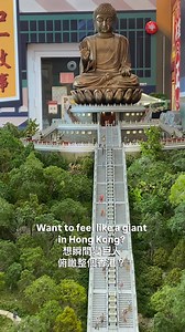 16K views · 212 reactions | Look through these incredibly detailed miniature models of Hong Kong’s famous landmarks, cultural customs, and unique lifestyles – and watch out for celebrity Easter eggs! Read more: https://timeout-hongkong.visitlink.me/oCkjZW | Time Out Hong Kong | Facebook