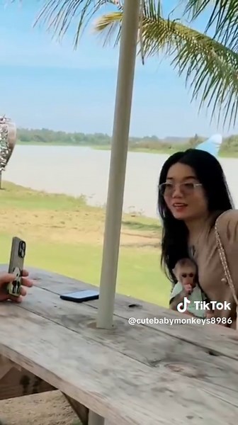 Cute Baby Monkeys: Adorable Pets You'll Love