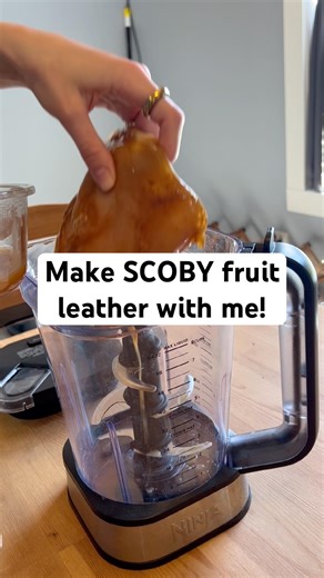 Kombucha SCOBY recipe #scoby #kombucha #guthealth #healthyfood #healthysnacks