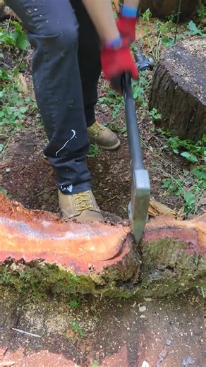 56_ ️ Splitting Maul - Unusual Pieces Present New Challenges #firewood | Ruby Arek | Facebook