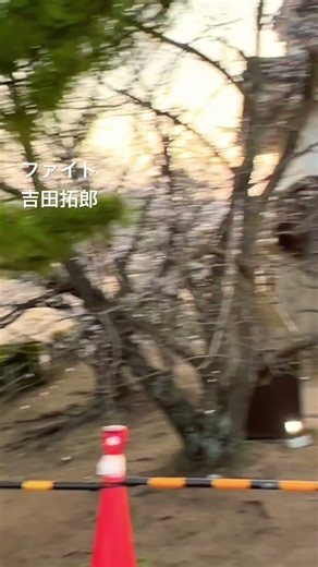 ファイト 吉田拓郎