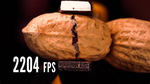 Slow Motion Nut Cracking at 2204 FPS: Satisfying Macro Action
