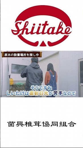 ほだ木を置くのによい場所 #高校生がしいたけ栽培 ？！