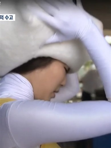 Korea Theme Park Mascot Girl Reveal Interview