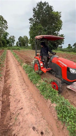 Precision Field Cultivation: Compact Kubota Tractor in Action #shorts