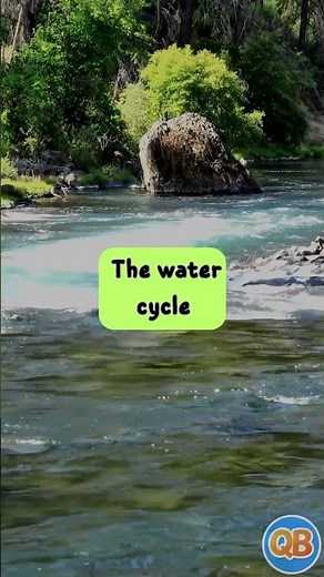 Evaporation and Condensation | Science for kids