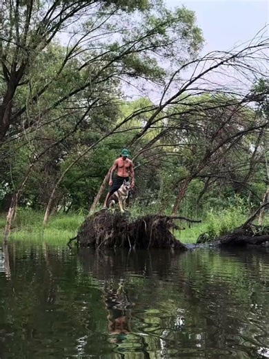 Unleashed: My Werewolf Journey