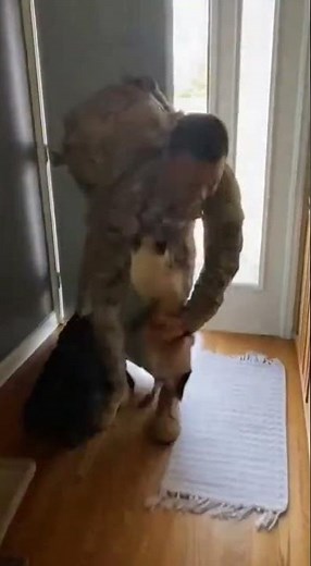 😂 SIREN ALERT! Siamese cat (Mochi) screams loudest meow ever #cats #pets #funny