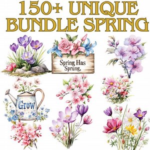 Spring Floral Clipart Bundle: 150  PNG Illustrations (digital Files) - Etsy