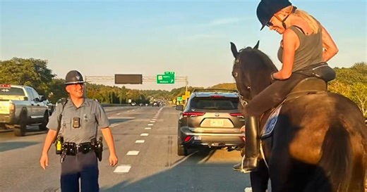 State police help get runaway horse off Massachusetts highway