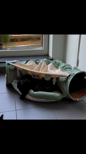 Eddy Geldof on Reels