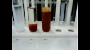 金属イオンの反応