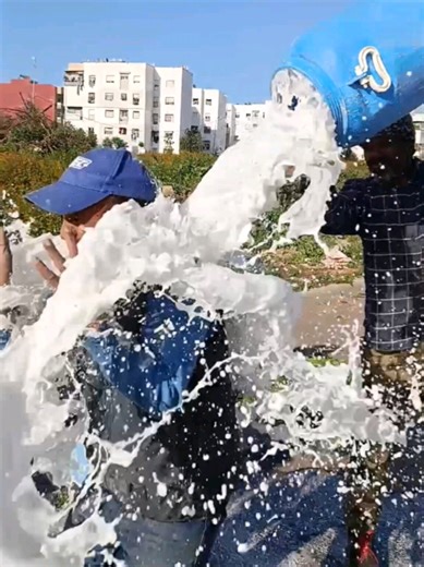 Understanding Milk Fraud: What You Need to Know