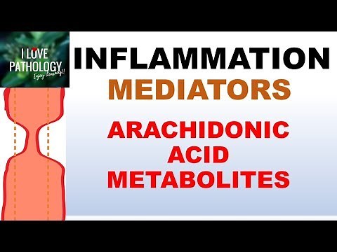 INFLAMMATION Part 5: Chemical Mediators: ARACHIDONIC ACID METABOLITES