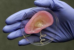 Printable ‘bionic’ ear melds electronics and biology #3dthursday