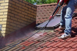 10 Best Roof Cleaners of 2025