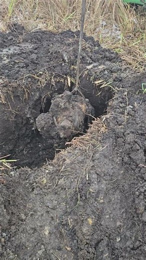 Suspension Part from Panther Tank #digging #ww2 #metaldetecting #military