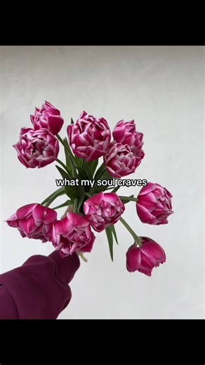 Slowly watching the flowers wake up at @Lilac Valley Farm Can’t wait for Spring on our little flower farm💕 #flowergarden #flowertok #flowerfarm #spring