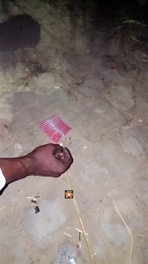 Ladi 🔥🎇 #patakha #diwali #shortsfeed #shorts