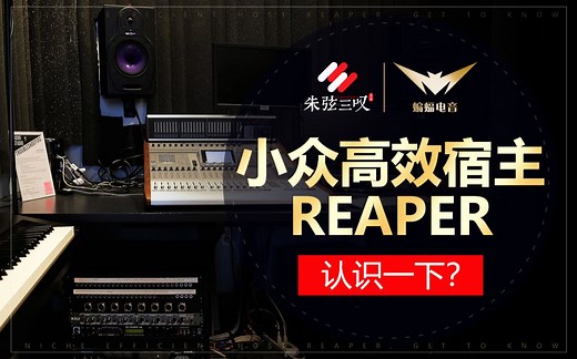 混音神器——小众高效宿主REAPER|蝙蝠电音公开课