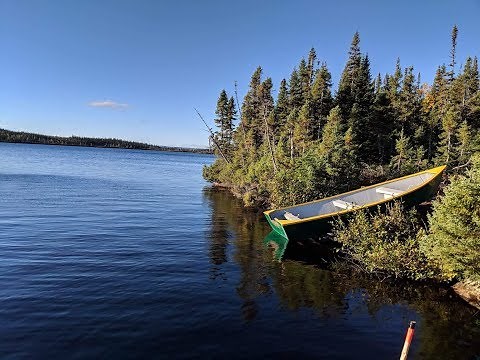 2 BUCKS DOWN! Adirondack deer & Bear hunting
