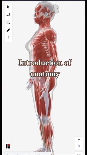 🩻 Introduction/ Definition Of Anatomy in 15 Second| #anatomy #humananatomy #healthcareeducation