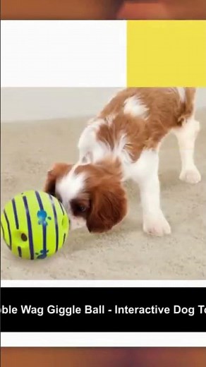 Wobble Wag Giggle Ball | Wobble Wag Giggle Ball Dog Toy 😃 🔥