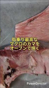 【脂乗り最高】マグロのカマをオーブンで焼く #おうちご飯 #夕飯 #cooking #今日の晩ごはん #マグロのカマ #マグロ #オーブン