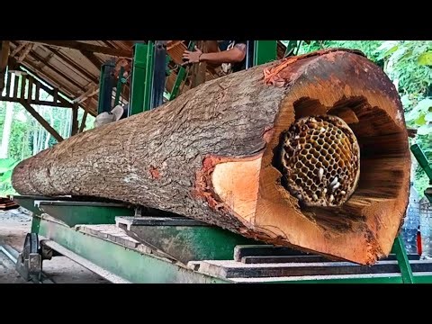 the extraordinary process of cutting old redwood logs at the sawmill