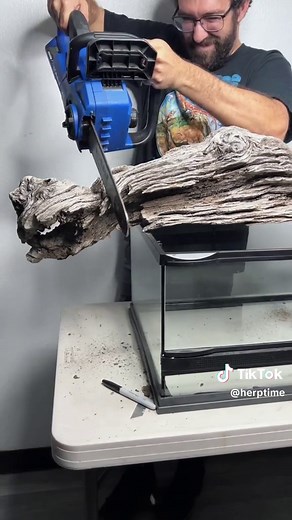 Naturalistic Snake Enclosure Setup: Herp Time