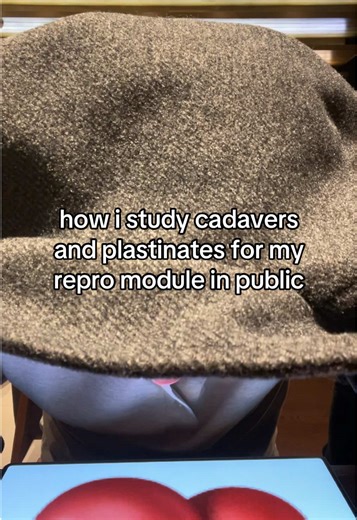 Studying Cadavers and Plastinates in Medical School