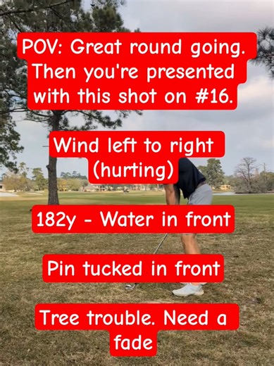 Who's sending this into the hazard? 🏌️‍♂️#golf #golfshot #nails