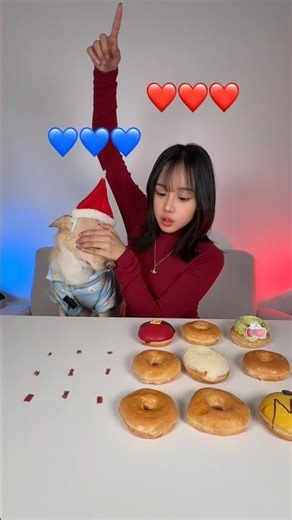 Boom Challenge with my dog Part.2 🐕