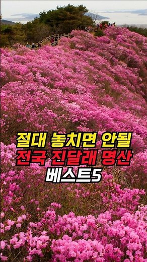 TOP 5 famous azalea mountains you should never miss🌸