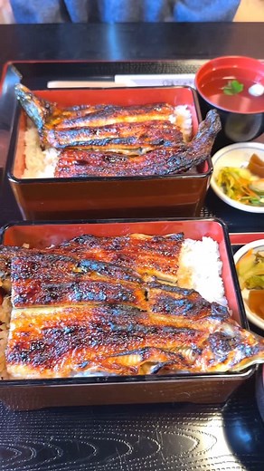 はらぺこグルメ日記(ぺこグルメ) on Instagram: "鰻を一匹丸ごと使った鰻重 店名：土井活鰻 最寄り駅：伏見稲荷駅（京都） 炭火でじっくり焼き上げた外は香ばしく中はふわふわのうな重！ 店内で毎朝捌く新鮮な肉厚鰻を継ぎ足しの秘伝ダレで丁寧に焼き上げます！ 甘さ控えめのタレが鰻本来の旨みを引き立て一匹まるごと乗せた「極上一匹重」が看板メニュー！ 伏見稲荷・金閣寺・祇園八坂に店舗があり、観光とともに味わえる一品です。 極上一匹重は5600円でした！ 住所：京都府京都市伏見区深草鈴塚町2-2 豊和マンション 1F 最寄り駅：伏見稲荷駅から徒歩4分 営業時間：11時から15時、17時から20時半 定休日：不定休 #京都グルメ #kyoto #japanesefood Whole grilled eel rice box—next level! Charcoal-grilled to crisp on the outside and fluffy inside, using fresh, thick eel cleaned daily in-house and finished wit