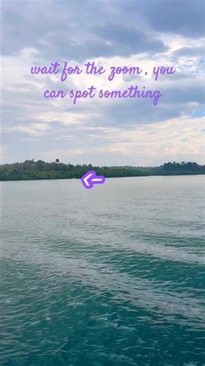 Lime stone cave in baratang #andamans #cave #limestone #limestonecaves #andaman #youtube