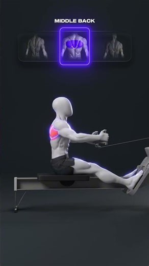 🔥 These 4 Cable Row Grips Change Everything 💪@appyoucan