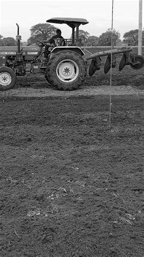 musa dotoo (@musa.dotoo)’s videos with Inatosha - Lava Lava