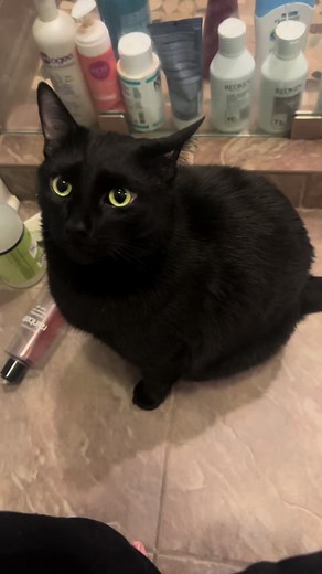 he doesnt let me poop in peace