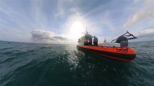 A great day for volunteers from WA Seabird Rescue, WA Wildlife and Marine Rescue. | Marine Rescue Rockingham