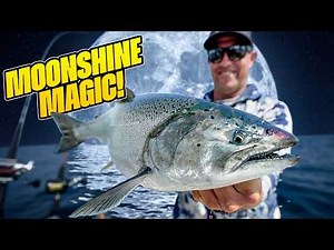 The Salmon Fishing SECRET: Why THIS Lure Works (Moonshine Magic!?)