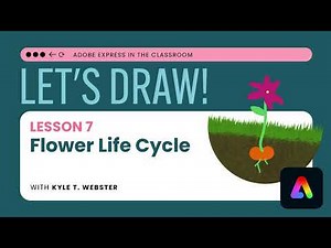Flower Life Cycle - Adobe Express Drawing [KS1+]