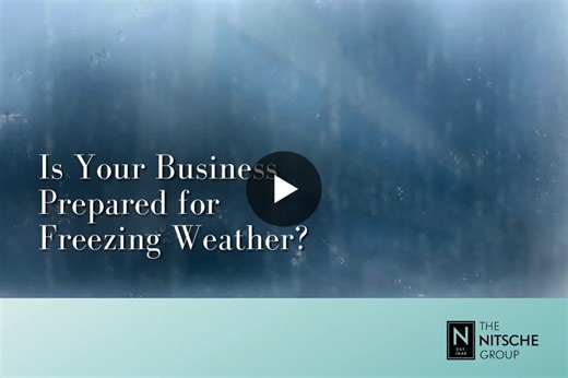 Prepare Your Business for Freezing Weather Disruptions | The Nitsche Group posted on the topic | LinkedIn