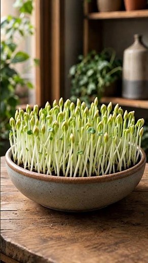 From Tiny Seeds to Microgreens in 15 Seconds 🌱 | Rapeseed Timelapse