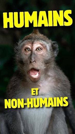 What is the difference between humans and non-humans?